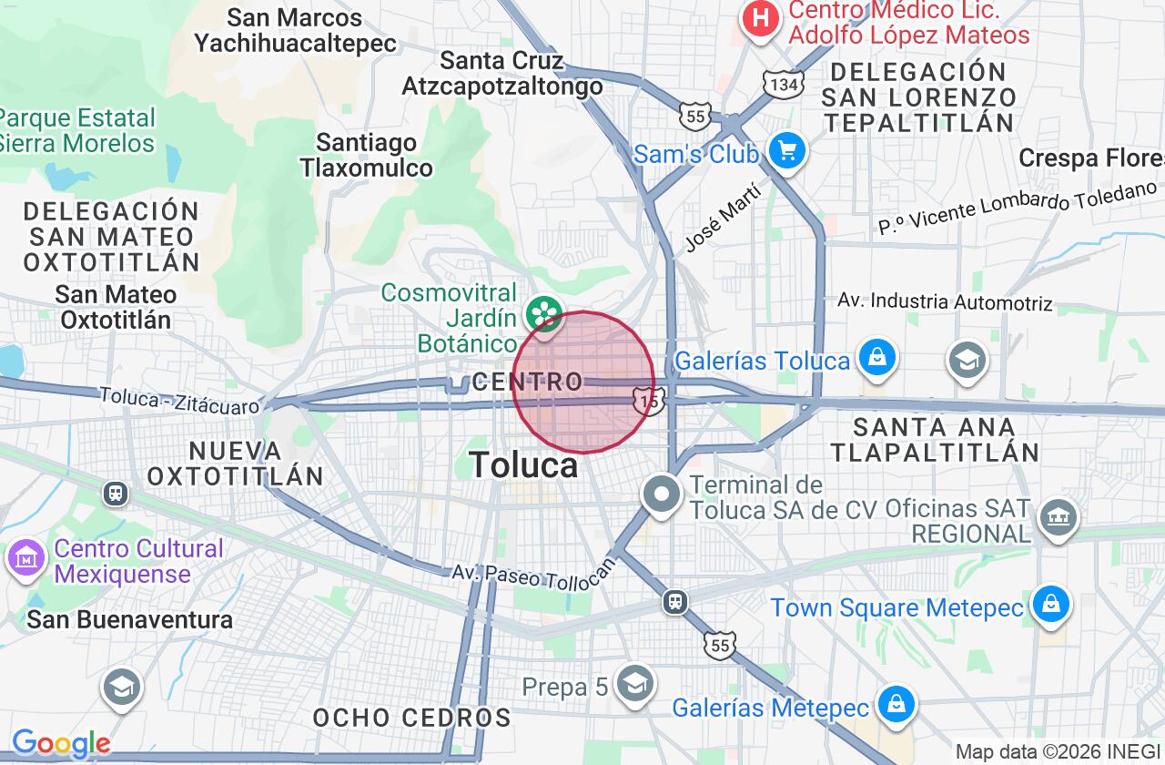 Zona aproximada de Terreno en venta y renta en Barrio de Santa Clara